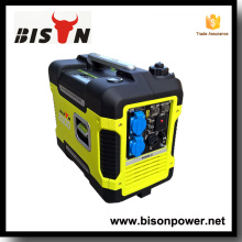 Bison China Zhejiang Automatik-Transfer-Schalter für Generator 2KW 3000 Watt Inverter Generator zum Verkauf